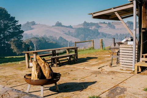 Fire pit beside the rustic shed